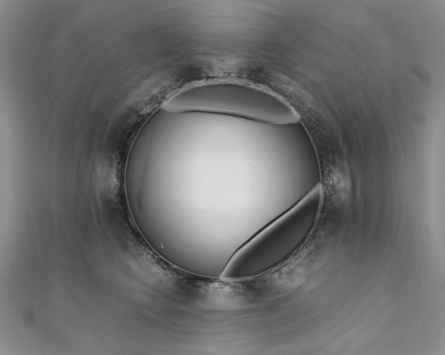 X0000110910566200906181345