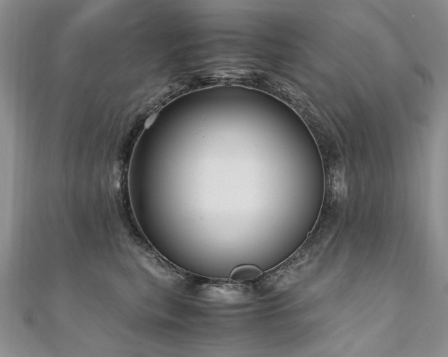 X0000110910567200906181345