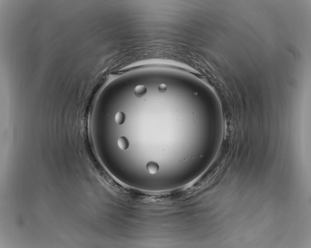 X0000110910568200906181345