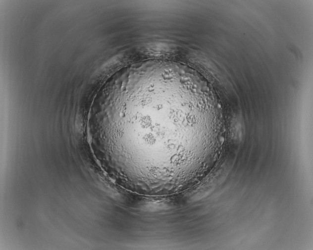 X0000110910569200906181345