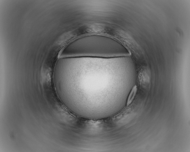 X0000110910570200906181345