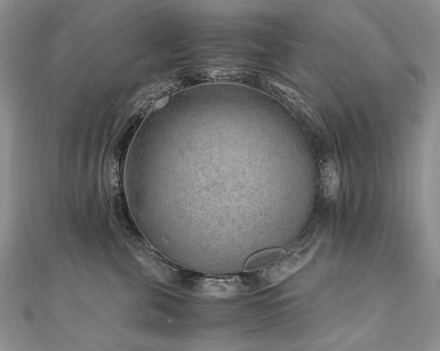 X0000110910571200906181345