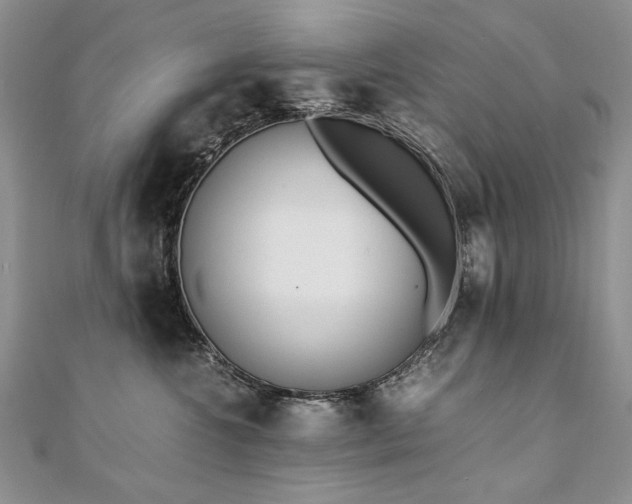 X0000110910572200906181345