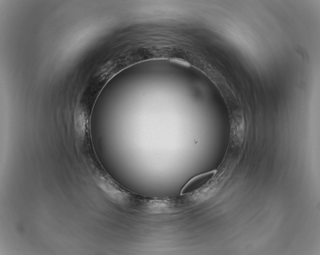 X0000110910574200906181345