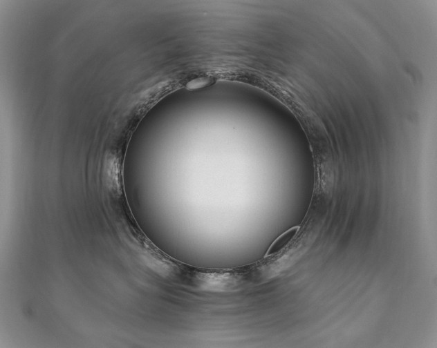 X0000110910575200906181345