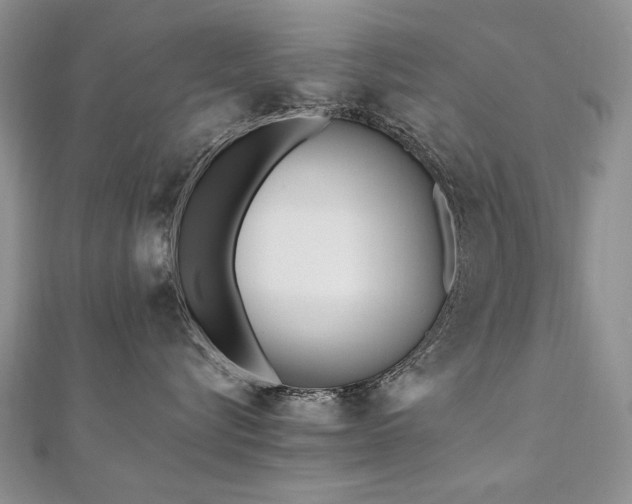 X0000110910576200906181345