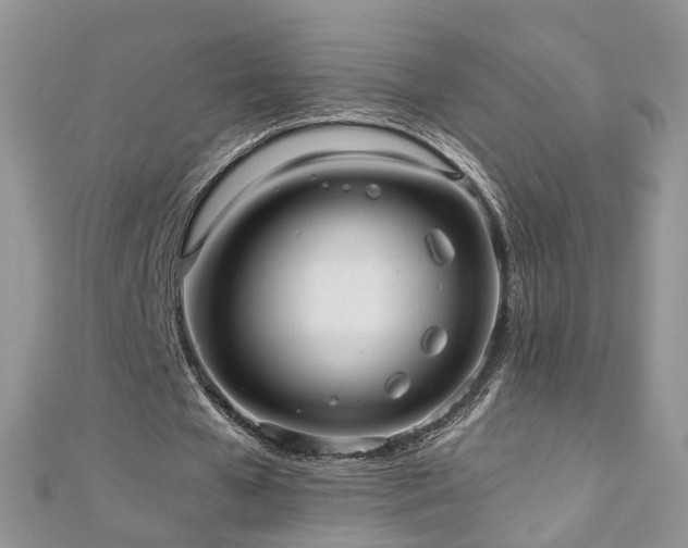 X0000110910577200906181345