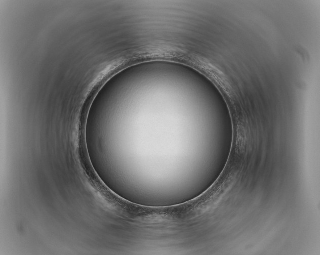 X0000110910578200906181345