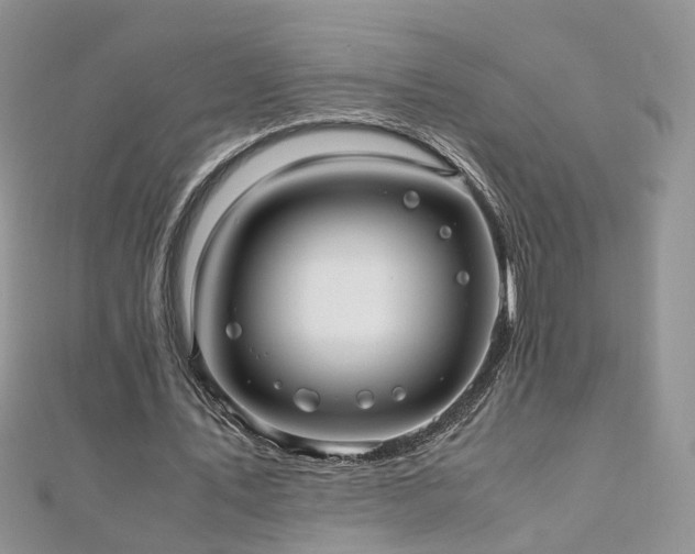 X0000110910579200906181345