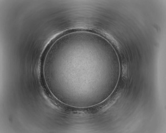 X0000110910580200906181345