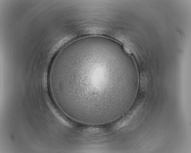 X0000110910581200906181345