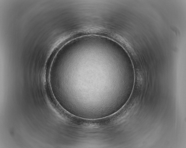 X0000110910582200906181345