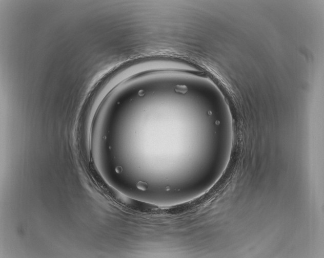 X0000110910583200906181345