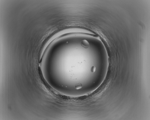 X0000110910585200906181345