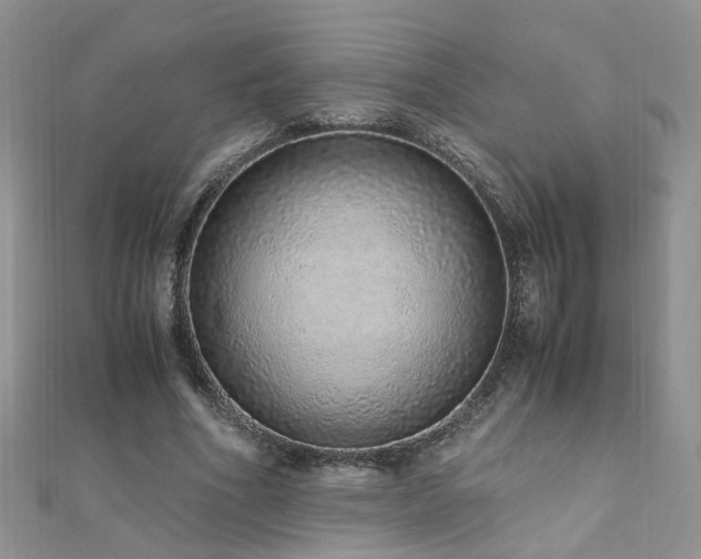 X0000110910586200906181345