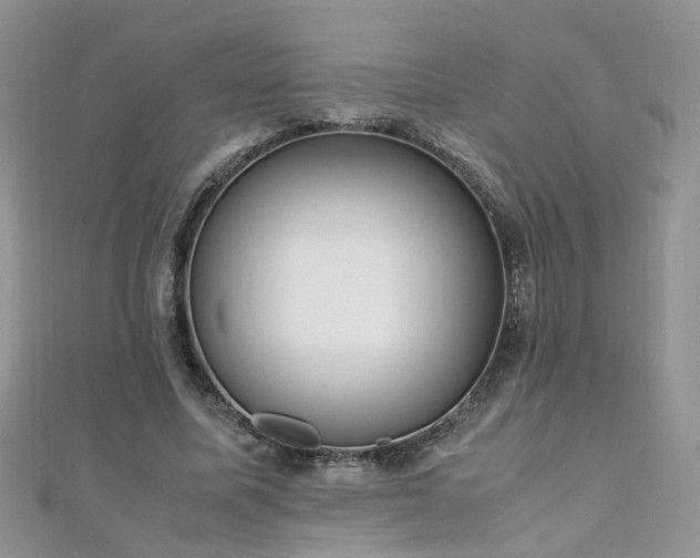 X0000110910587200906181345