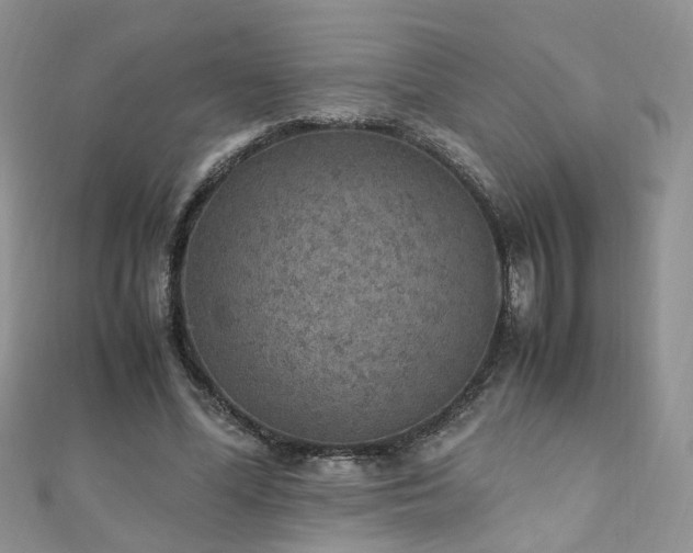 X0000110910588200906181345