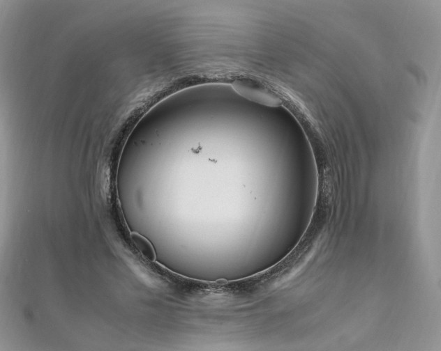 X0000110910589200906181345