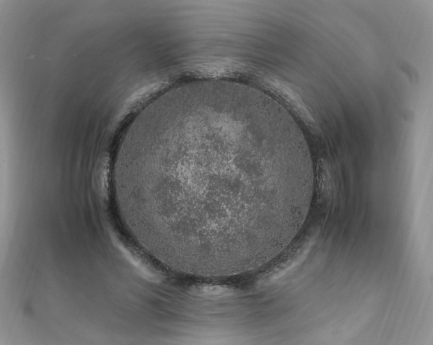 X0000110910590200906181345