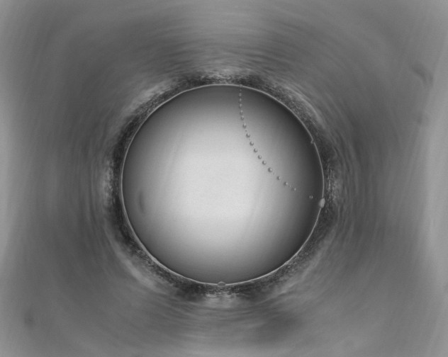 X0000110910591200906181345