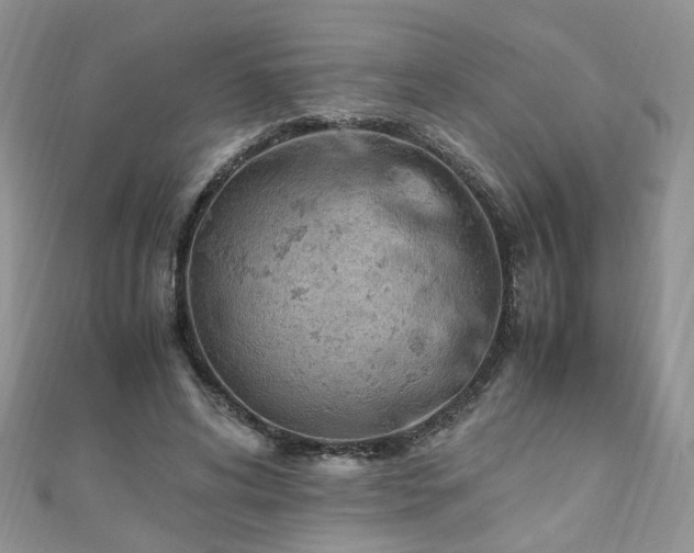 X0000110910592200906181345