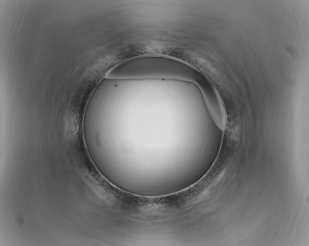 X0000110910593200906181344