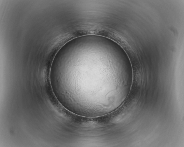 X0000110910594200906181344