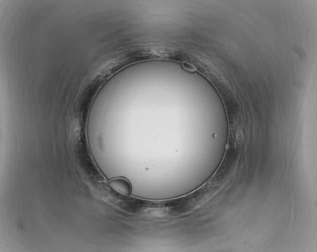 X0000110910595200906181344