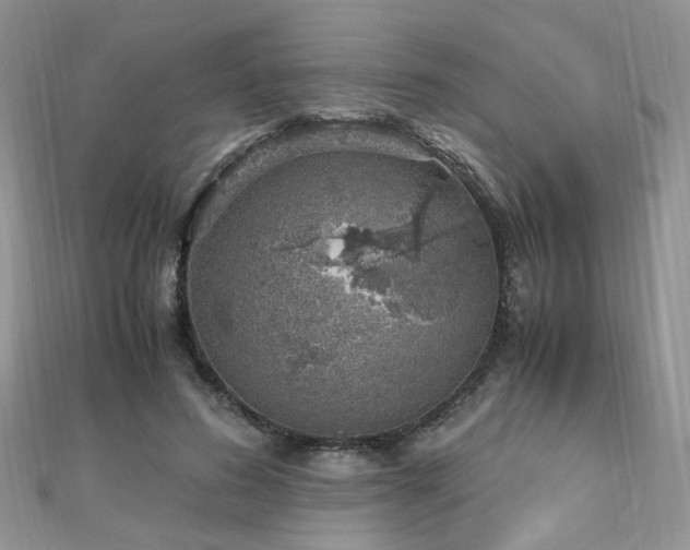 X0000110910596200906181344