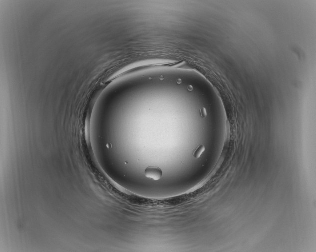 X0000110910599200906181344