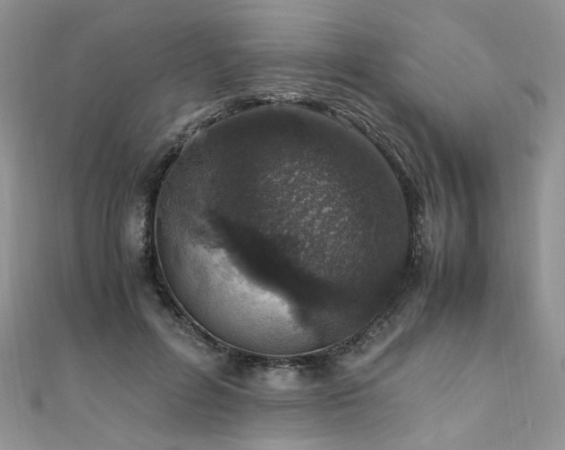 X0000110910600200906181344