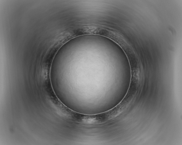 X0000110910602200906181344