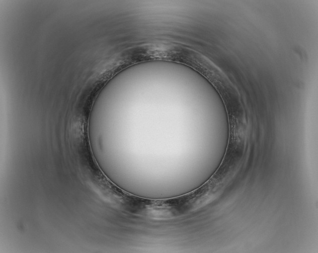 X0000110910603200906181344