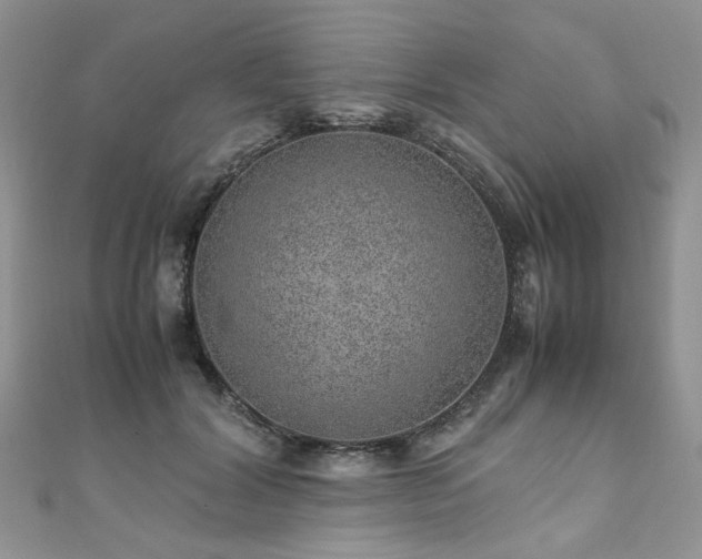 X0000110910604200906181344