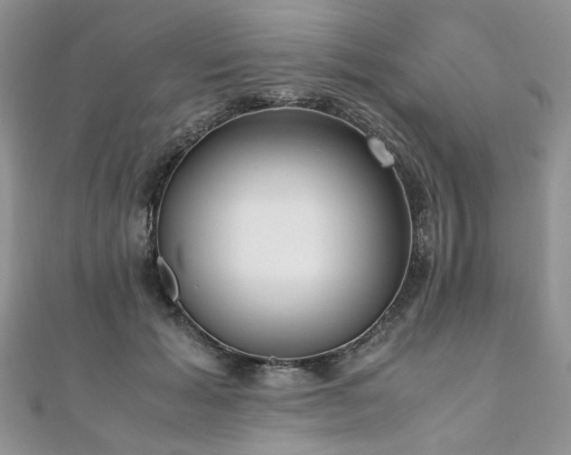 X0000110910605200906181344