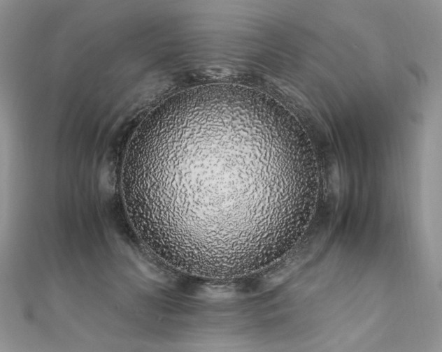 X0000110910606200906181344