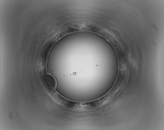 X0000110910607200906181344