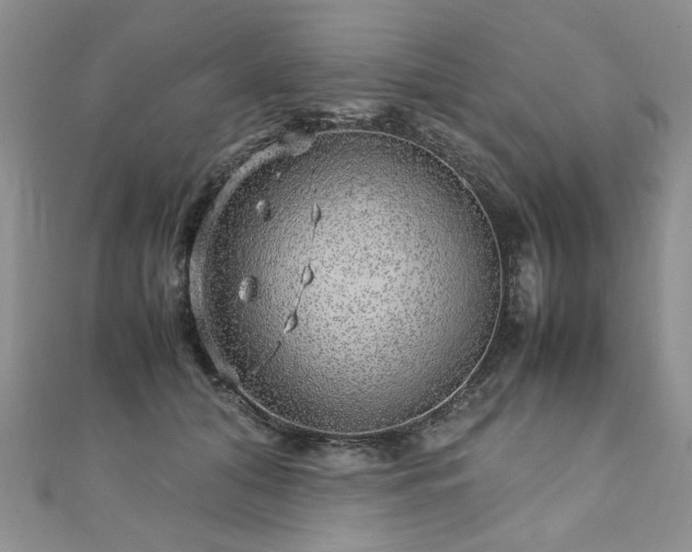 X0000110910608200906181344