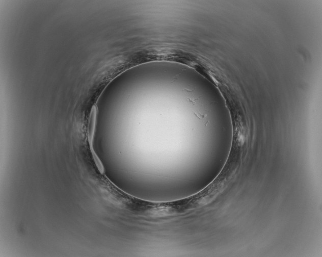 X0000110910609200906181344