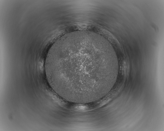 X0000110910610200906181344