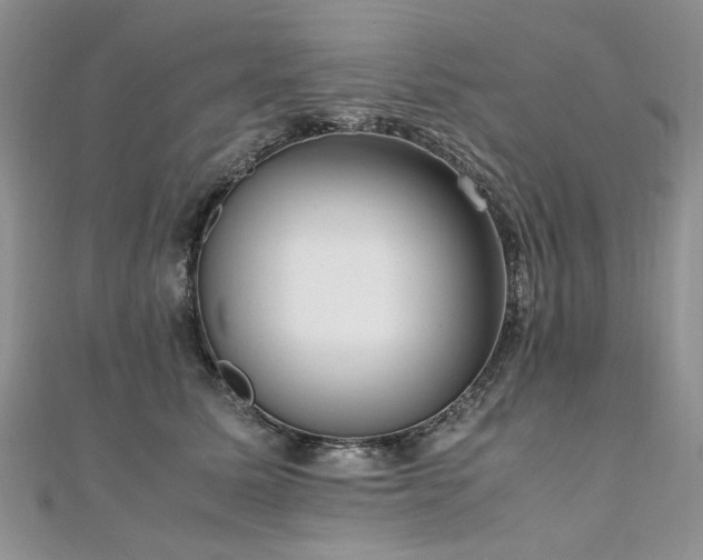 X0000110910611200906181344