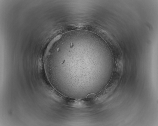 X0000110910612200906181344