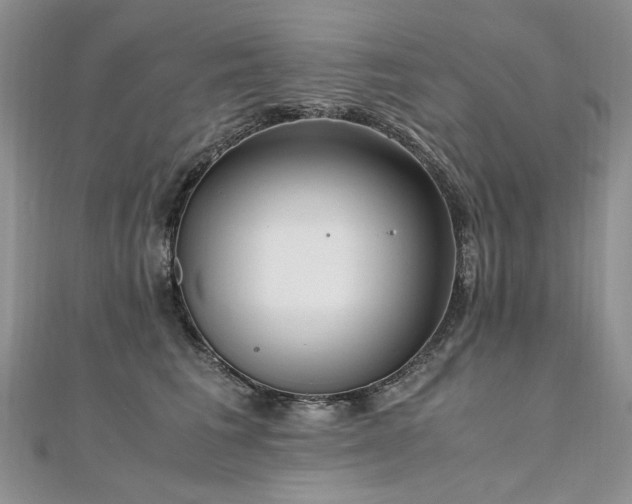 X0000110910613200906181344