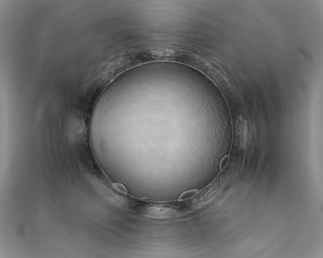 X0000110910614200906181344