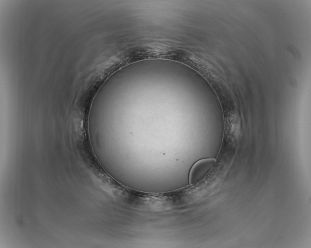 X0000110910615200906181344