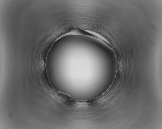 X0000110910617200906181344