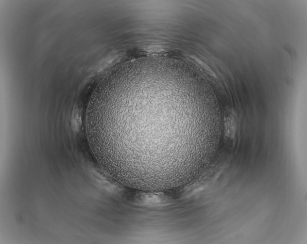 X0000110910618200906181344