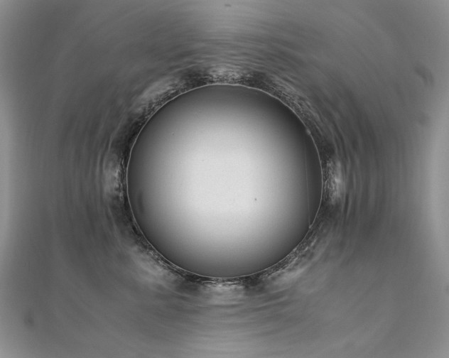 X0000110910619200906181344