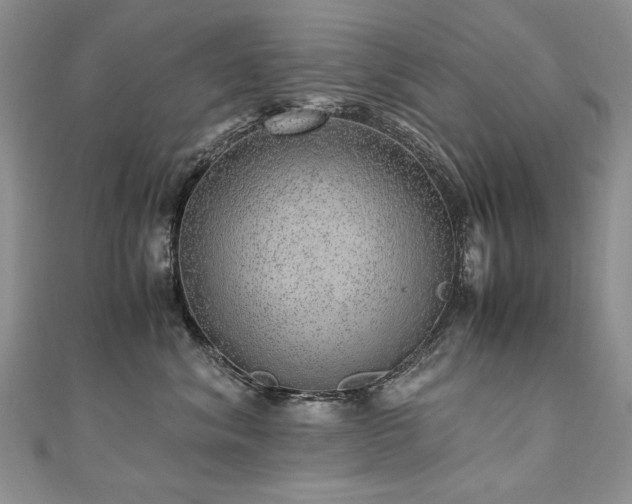 X0000110910620200906181344