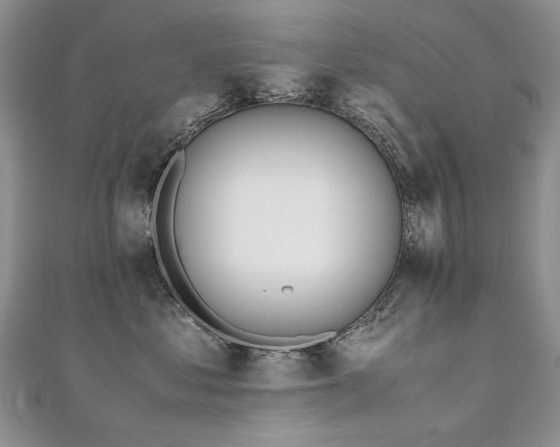 X0000110910621200906181344